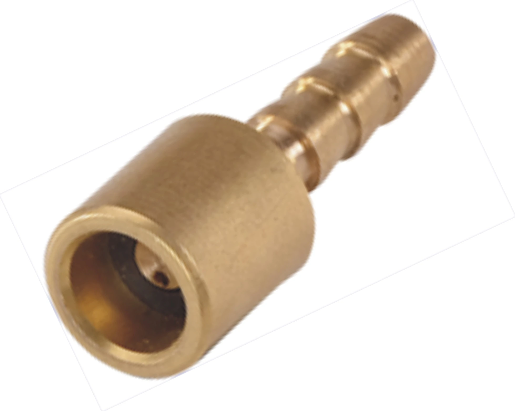 AUTOWIN Ball-Foot Or Clip-On Tire Air Chuck - ATC-17